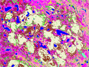 An interpreted map of the same area. Each color represents a different level of desirability for Red Knots.