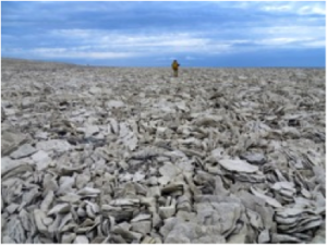 A shattered rock field. Similar features can be found throughout this region.