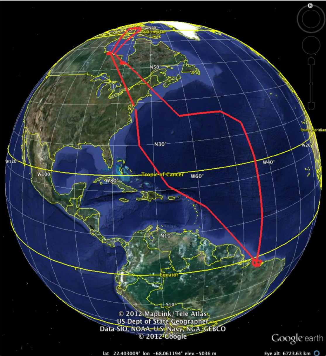 This map shows the yearlong track of a red knot with the flag Y7H. We attached its geolocator on Delaware Bay in 2011 and recaptured it in 2012. The track shows it left Delaware Bay, passing through Hudson Bay on its way to its Arctic nesting area. In July, it flew south though James Bay, stopping on the US Atlantic Coast before making an epic flight that took it over 1,000 miles out into the ocean to avoid a storm.. After four days of flying, Y7H finally reached the coast close to our study site.