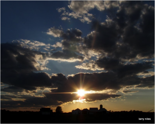 Agriculture in New Jersey cannot be easily characterized, except that it has become more heavily dependent on chemicals and mechanization. The former leaves local folks with water contaminated by agricultural chemicals, while the latter leaves many without productive employment. Agencies are unenthused by more lucrative small farm fresh vegetables and organic operations, preferring to support industrial farming techniques.