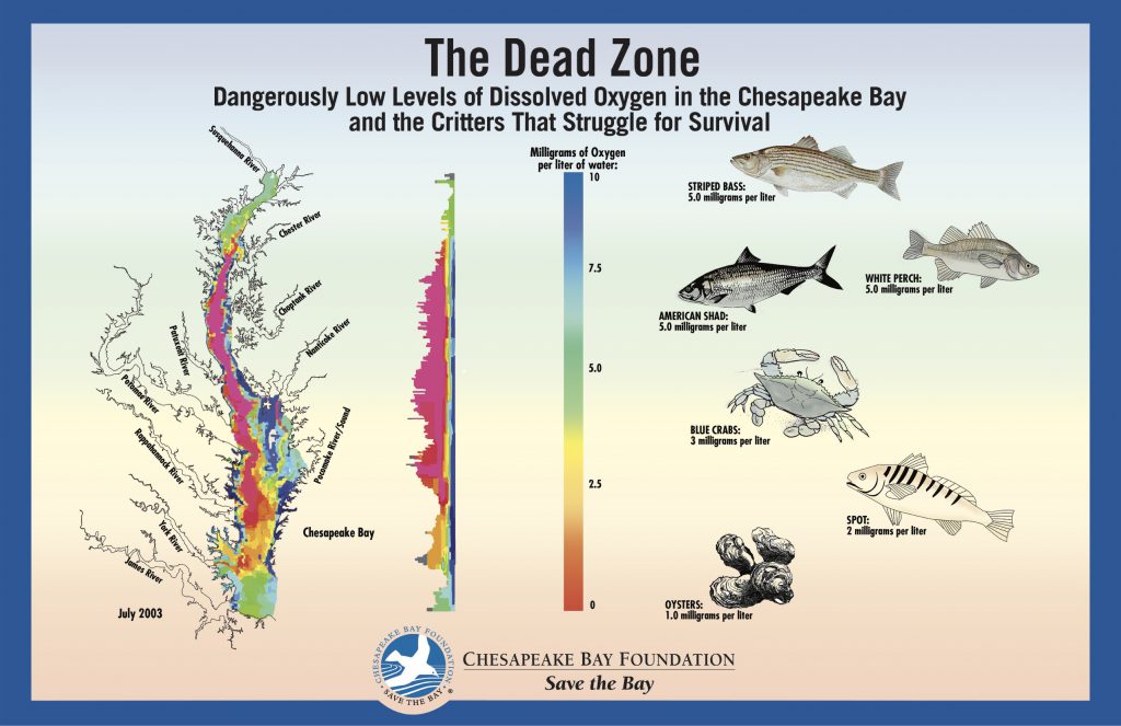 map of oxygen free zone in Chesapeake Bay