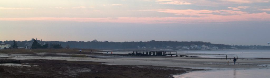 tidal flat on Delaware Bay