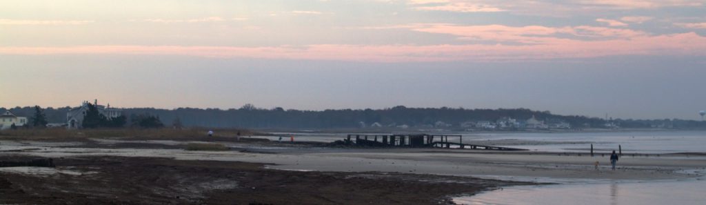 tidal flat on Delaware Bay