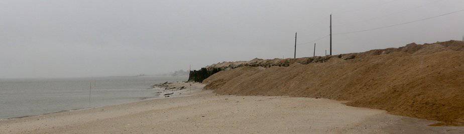 steve hafner and dan barone