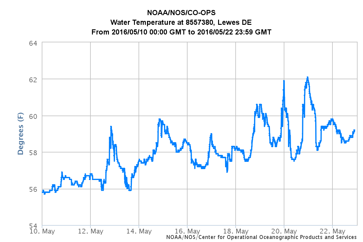The water of Delaware Bay is warming, spurring crab spawning.