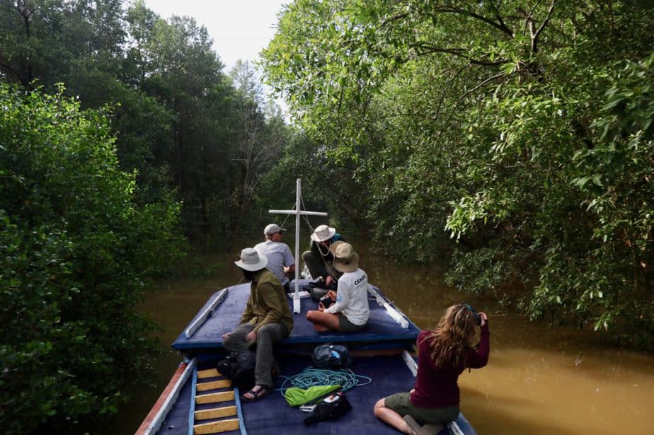 The Garota Viseu weaves its way through the narrow mangrove passage. Stephanie Feigin, Danille Paluto, Christophe Buiden and Yann Rochepault watch from the top deck of the boat