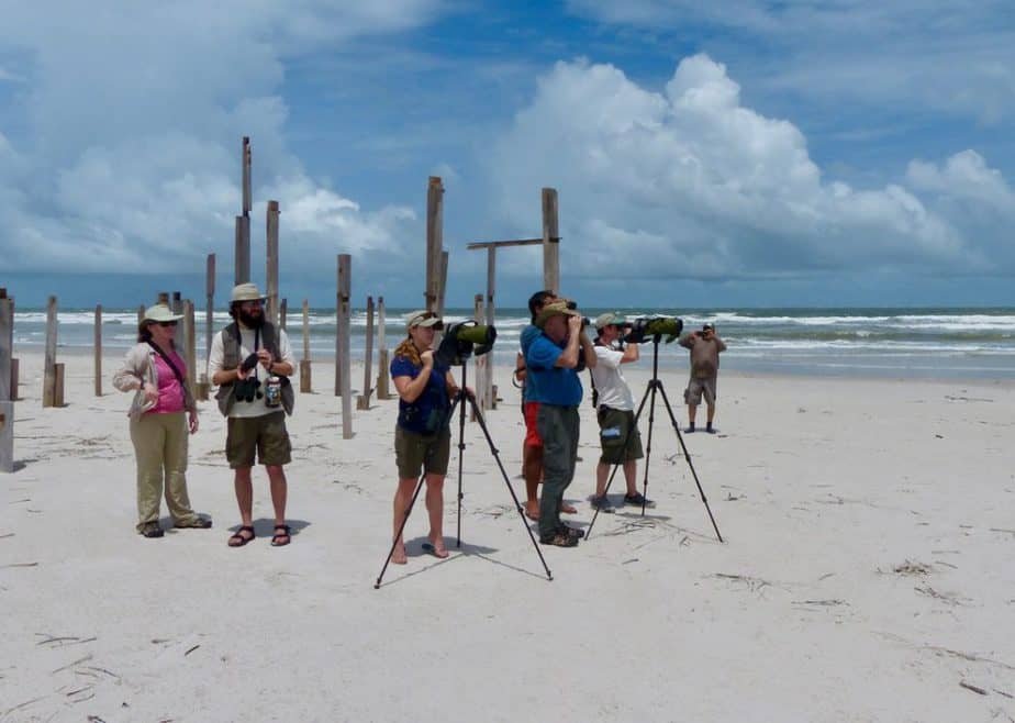 Our team observes a roost in Ajuruteuam to help standardize our method of counting shorebirds. The small village ends at the mouth of a small estuary seen in the map below
