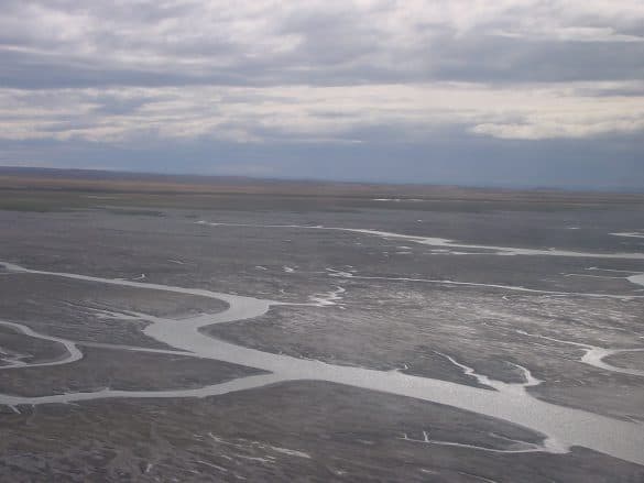 Bahia Mudflats