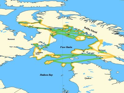 Cumulative aerial survey