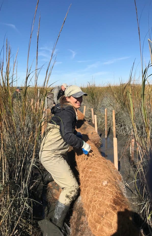 Building a marsh
