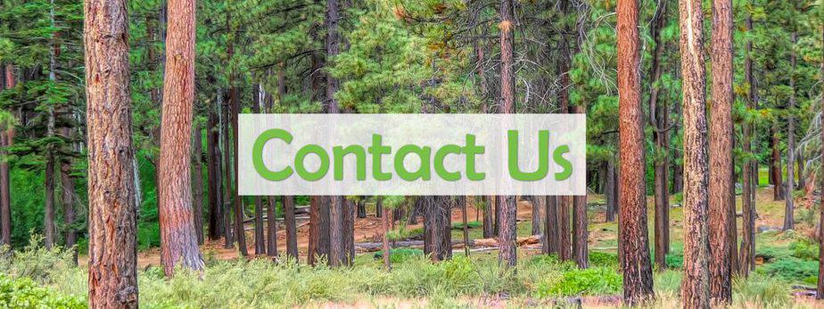 contact us