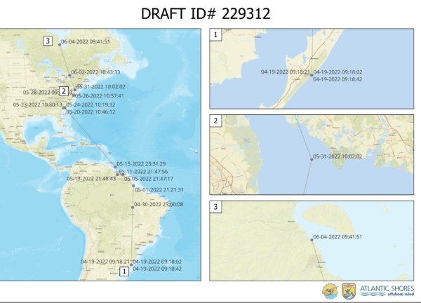 map of red knot movements